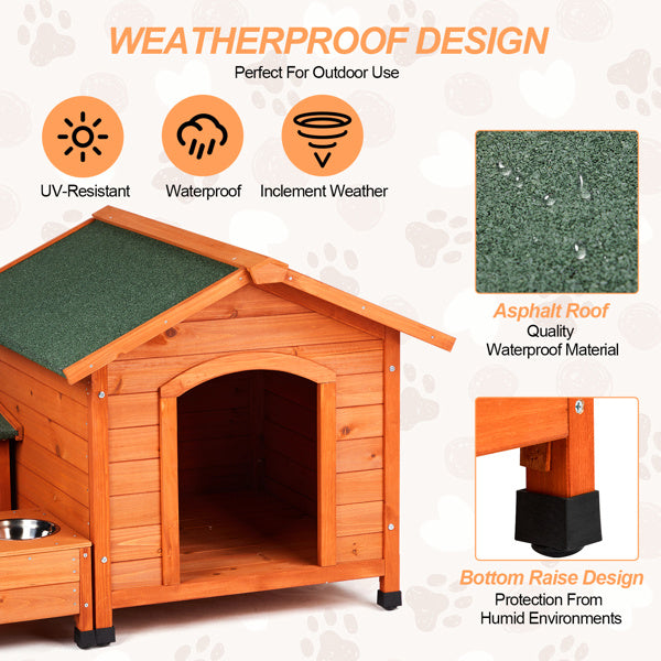 Urban Paw Retreat