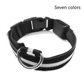 Ultimate LED Collar