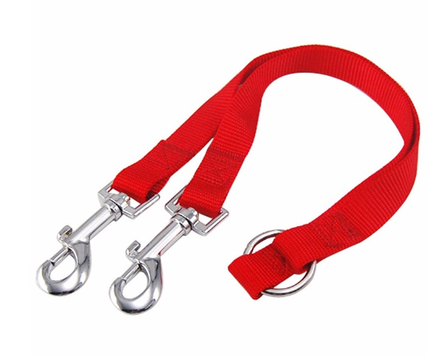Dual Paw Leash