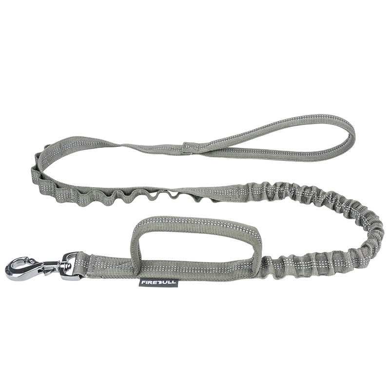 Pawsy x Firebull Leash