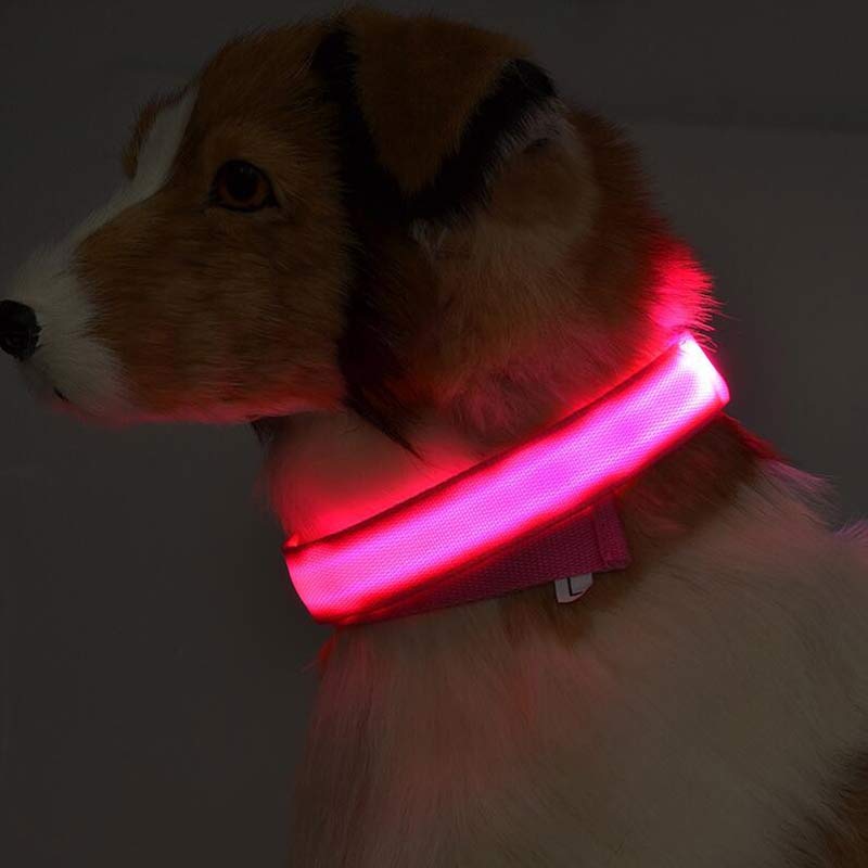 Ultimate LED Collar