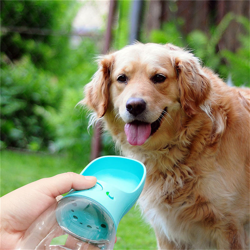 Portable Pawsy Feeder