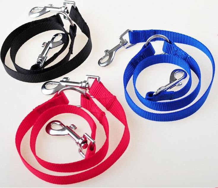 Dual Paw Leash