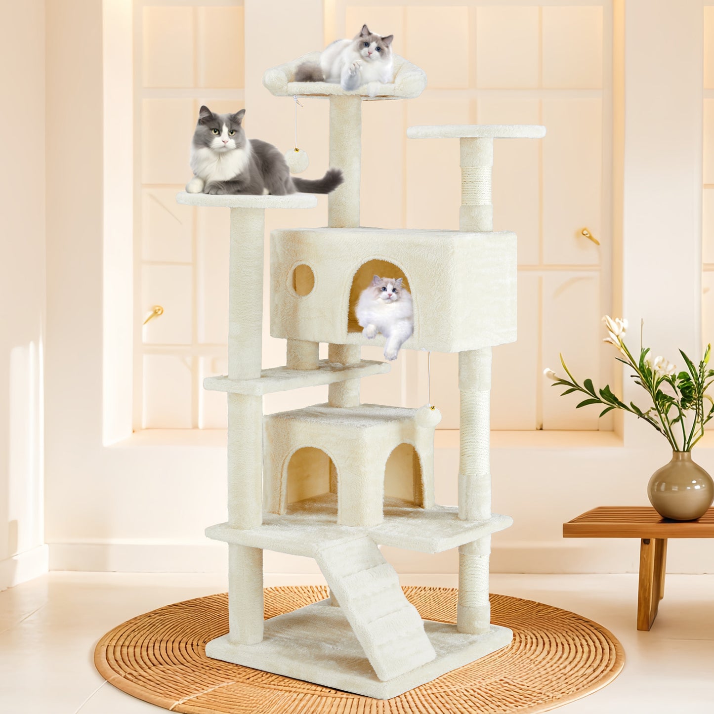 Whisker Wonderland
