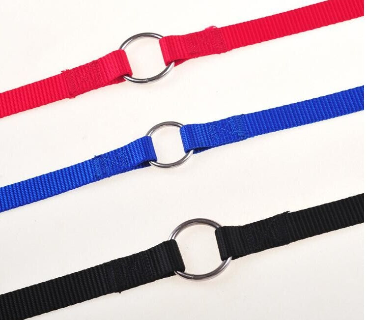 Dual Paw Leash