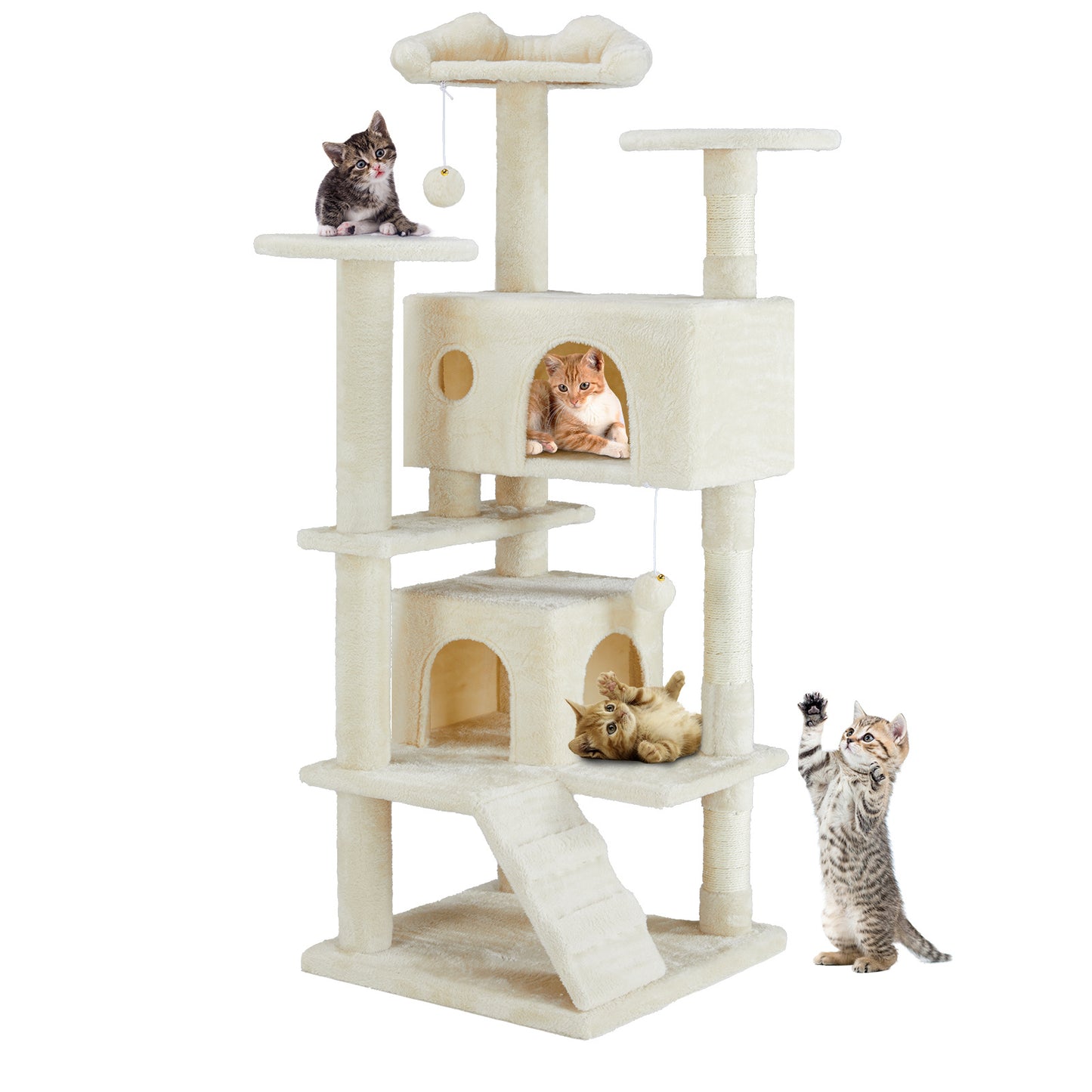 Whisker Wonderland