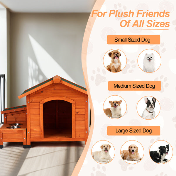 Urban Paw Retreat